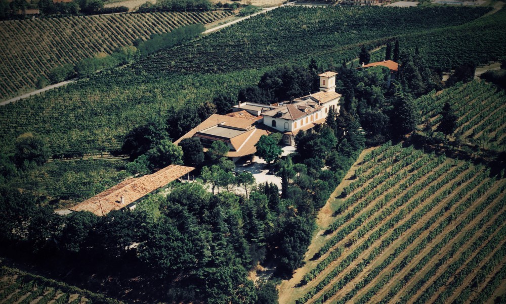Un viaggio tra i vitigni romagnoli con Fattoria Paradiso