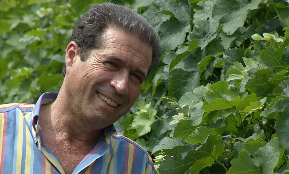 Isola Augusta, un’azienda vinicola moderna ed antica allo stesso tempo