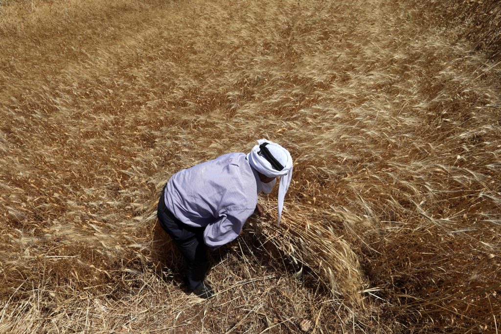 Coldiretti, porti chiusi: fermo 10% commercio mondiale di grano