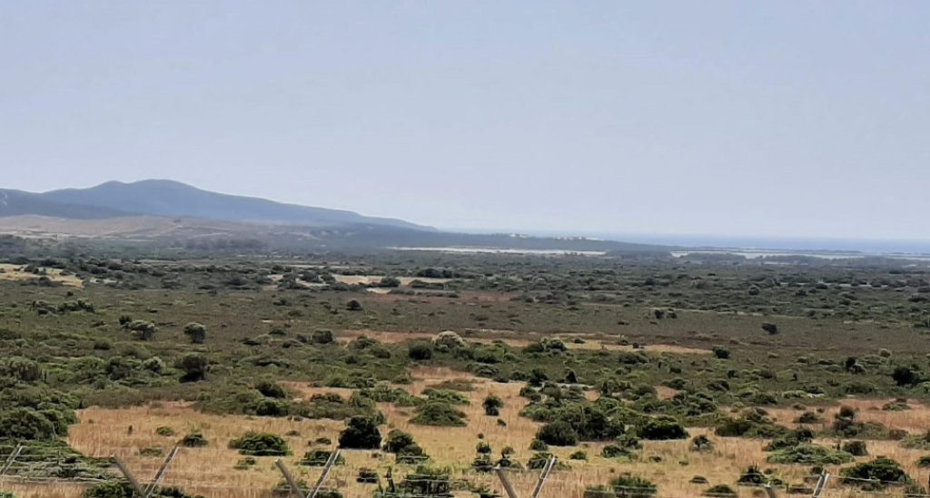 Sardegna, indagini sull’omicidio di un allevatore