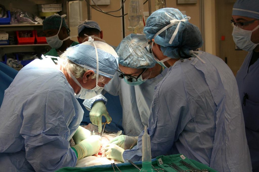 Aumentano i donatori di organi