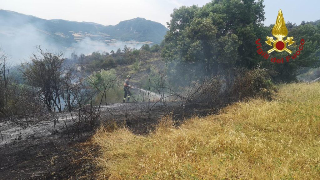 Roghi in Puglia, a rischio decine di ettari di bosco