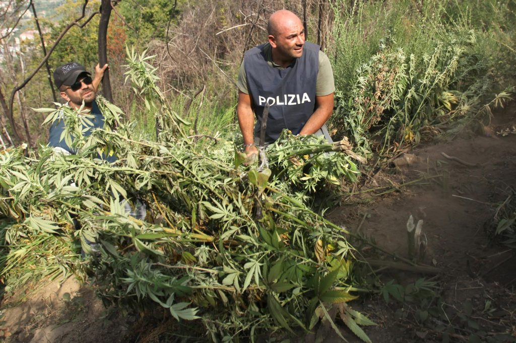 35 chili di cocaina e 20 di marijuana sequestrati nel napoletano