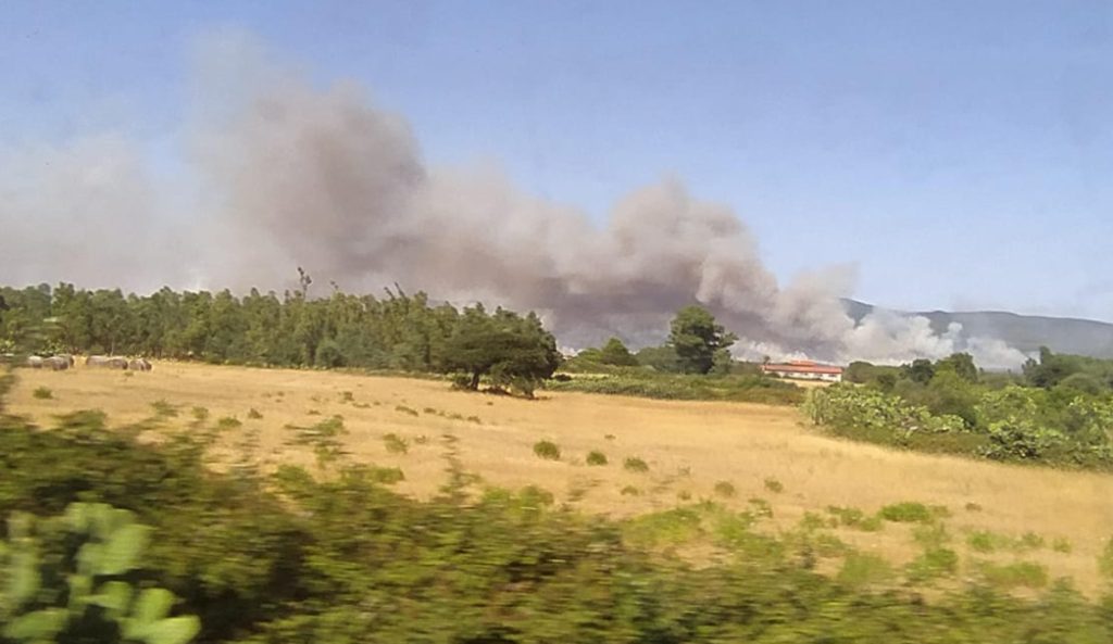 14 incendi nella notte in Sardegna