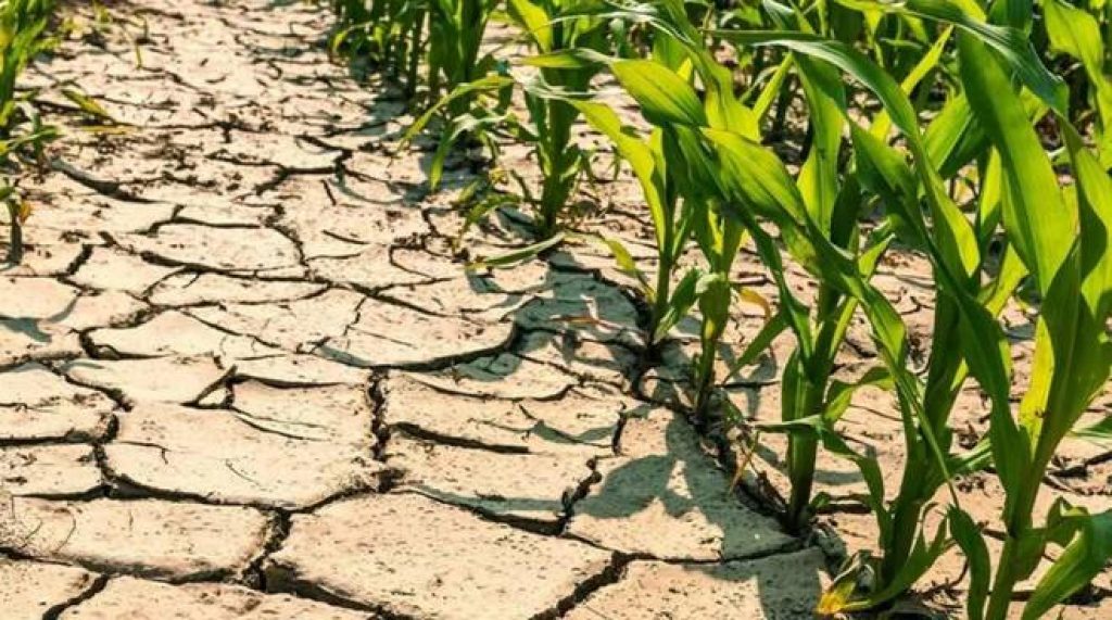 Siccità, mai così negli ultimi 500 anni