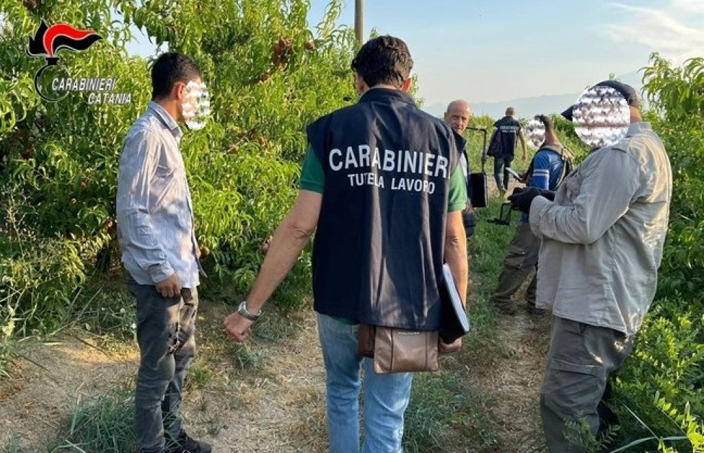 Caporalato, quattro braccianti denunciano imprenditore