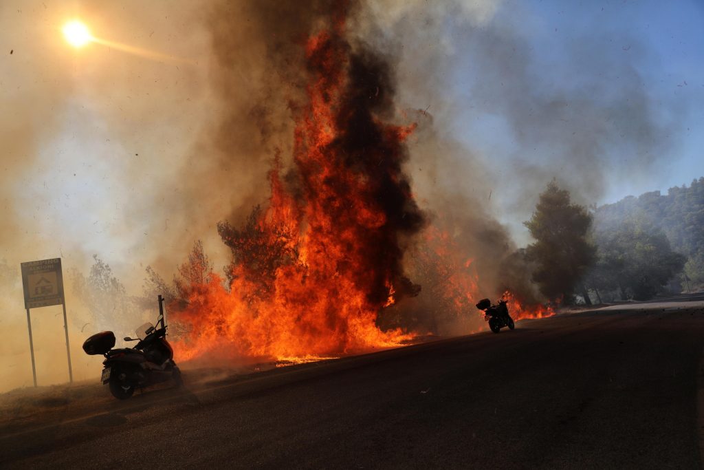 Nel 2021 Italia prima in Europa per numero di incendi
