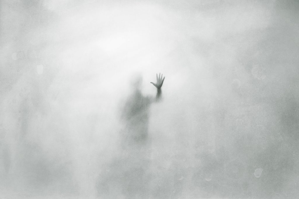 Nella rete dell’horror