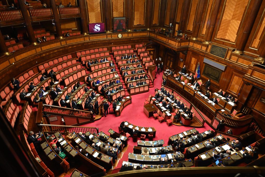 Dl Ong in Senato senza relatore, si va verso la fiducia ANSA/CLAUDIO PERI