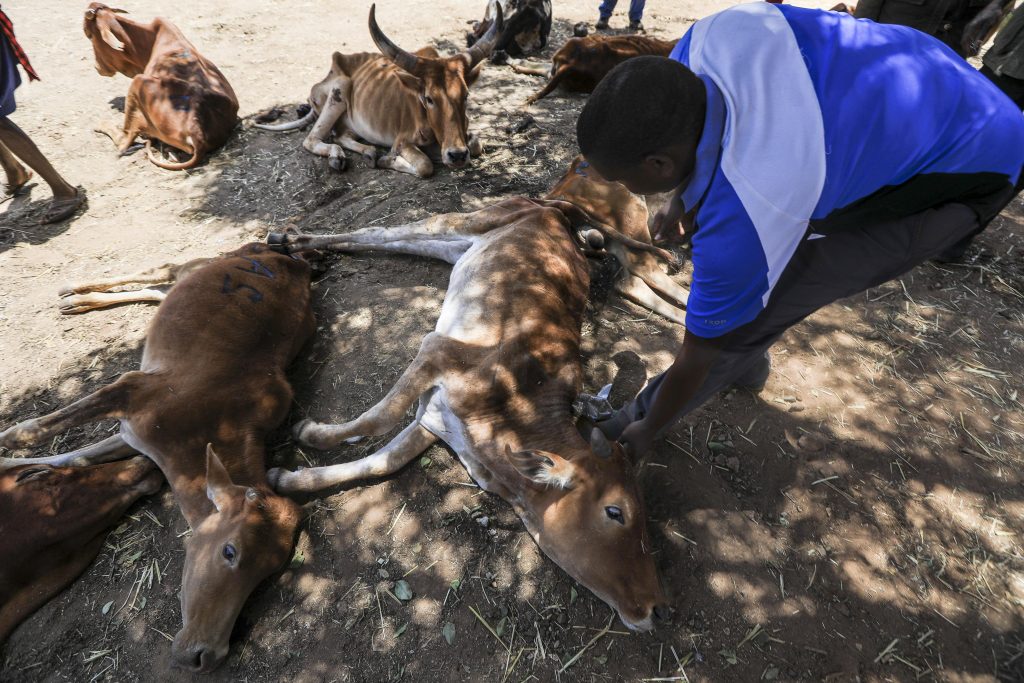 La Banca africana stanzia tre miliardi per il Kenya