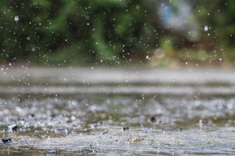 Arriva la Primavera, da martedì temperature in aumento SHUTTERSTOCK