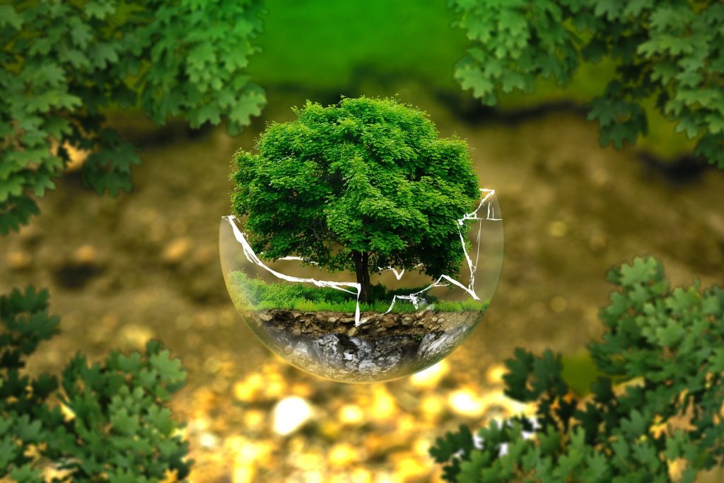 Biodiversità, accordo storico alla Cop15