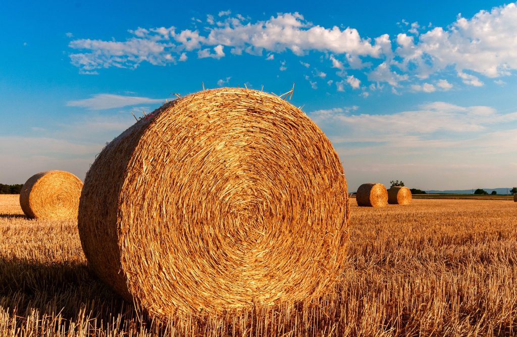 Schiacciato da una balla di fieno, morto agricoltore