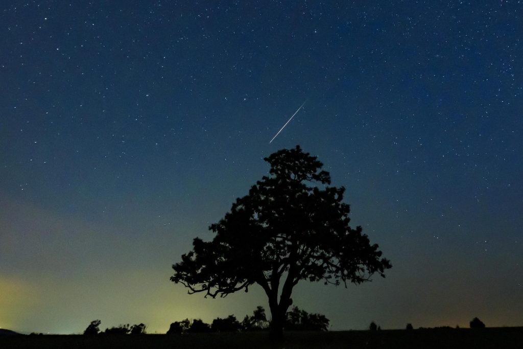 Scoperti due nuovi minerali in un meteorite meteorite