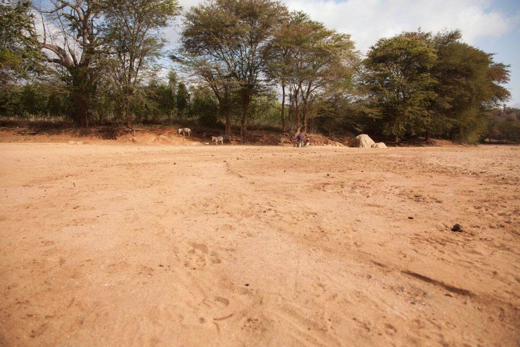 L’impatto della siccità: nel Corno d’Africa 58 milioni di persone sono in pericolo