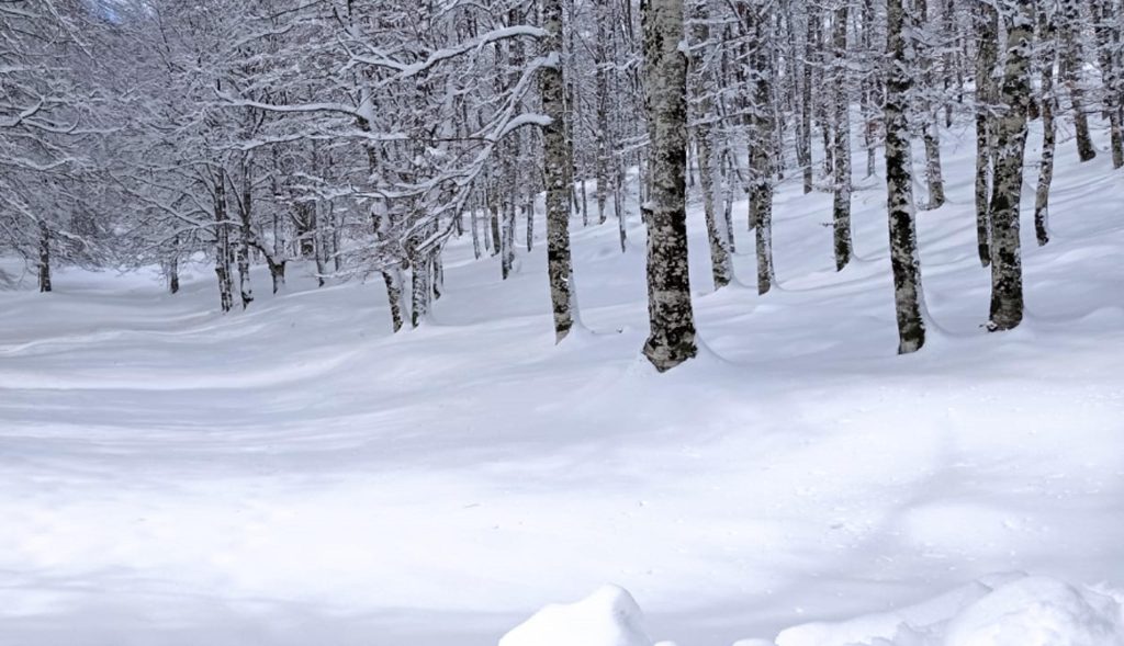 La neve è arrivata in Oman, sullo Jebel Shams