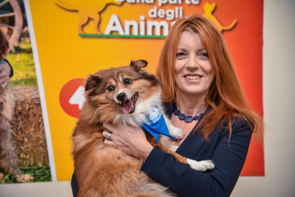 Più pene per chi maltratta e uccide gli animali, la proposta