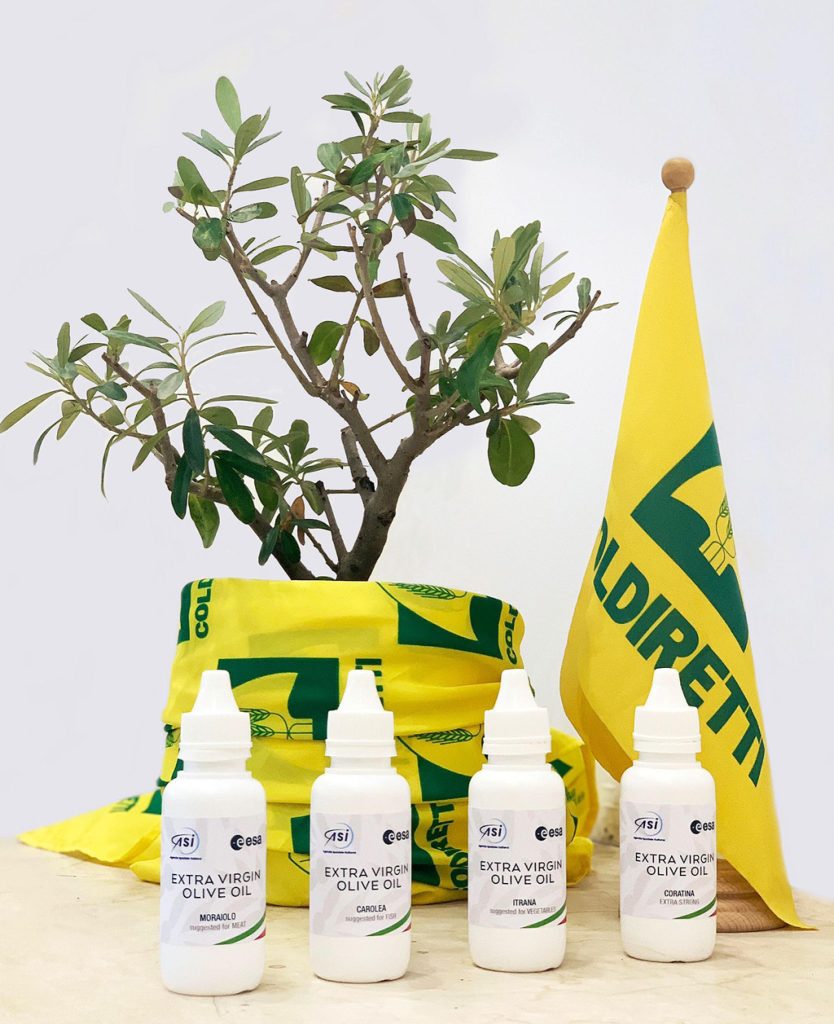 Torna dallo spazio l’olio extravergine di oliva, la qualità non è mutata