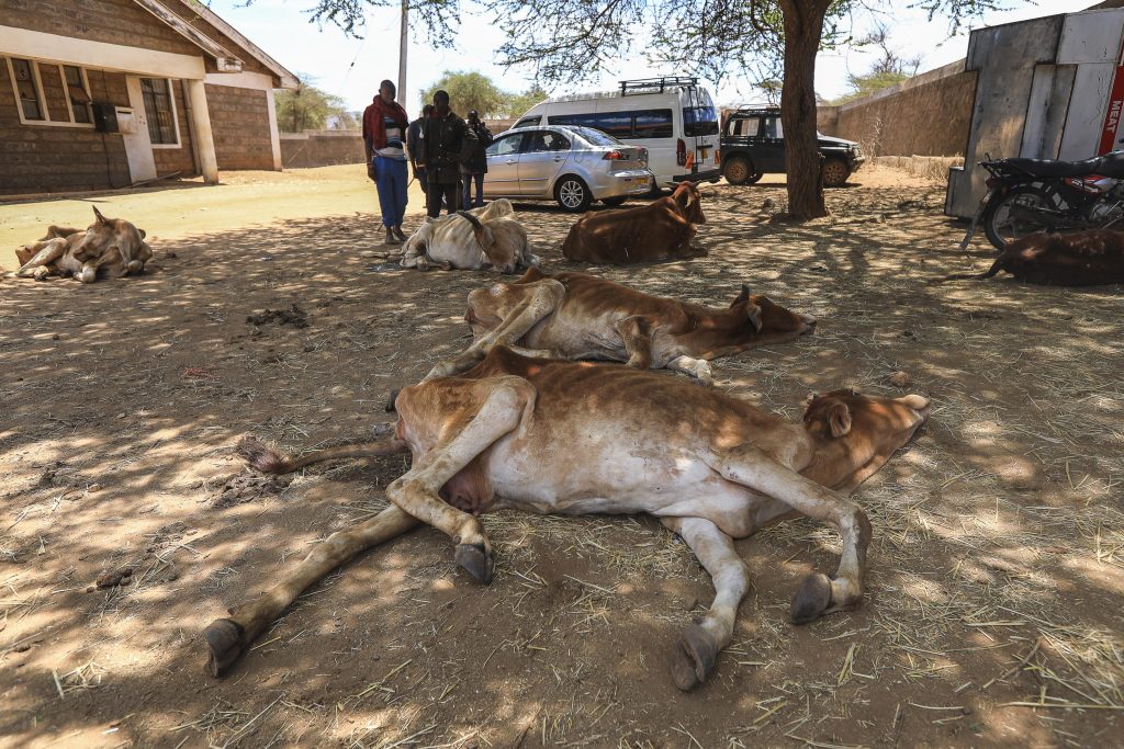 La siccità ha già ucciso 43 mila persone in Somalia