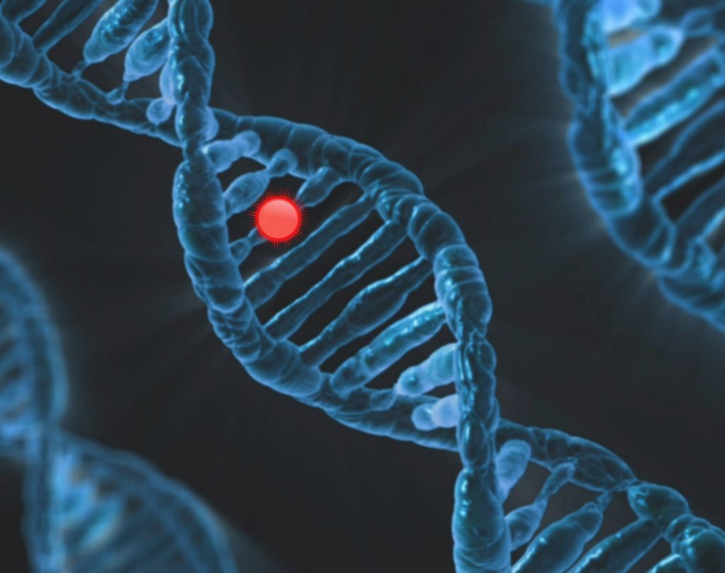 DNA di 2.900 anni fa estratto da un mattone di argilla