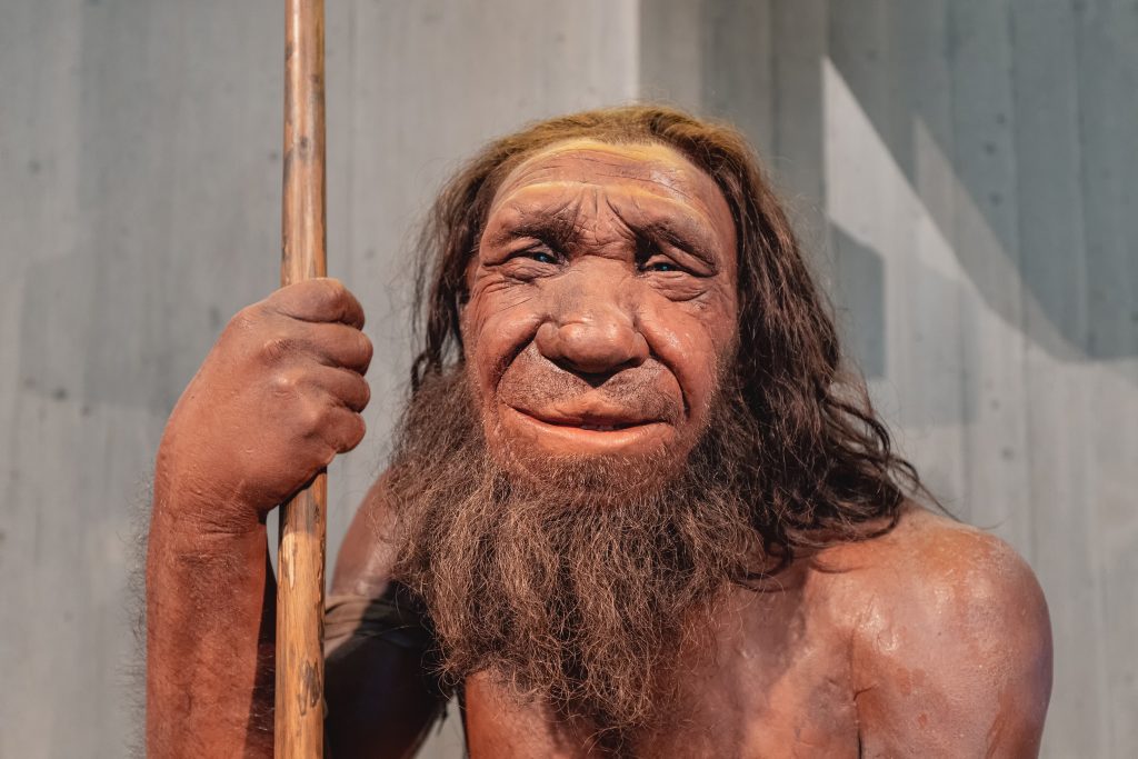 L’uomo di Neanderthal è molto più simile a noi di quanto si pensi