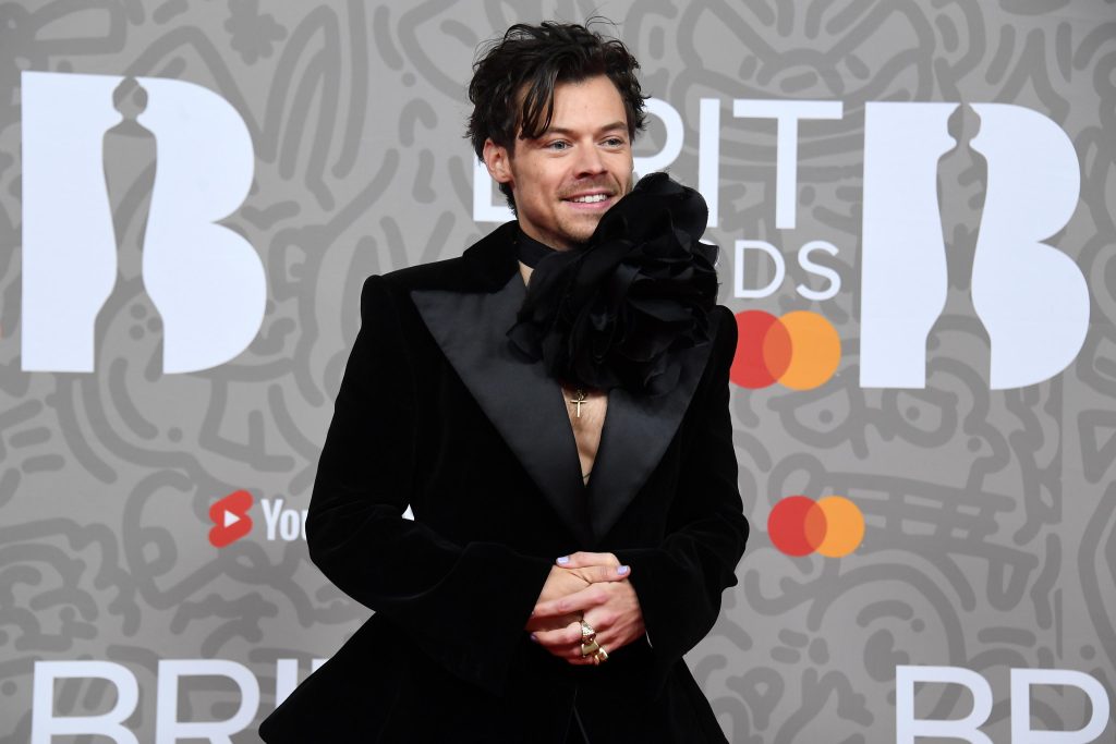 Harry Styles arriva in libreria con una biografia illustrata