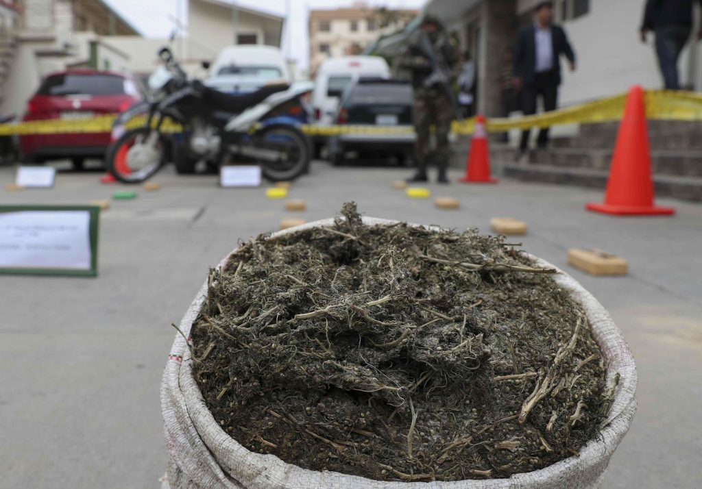 Bolivia, sequestrate 9,2 tonnellate di cocaina