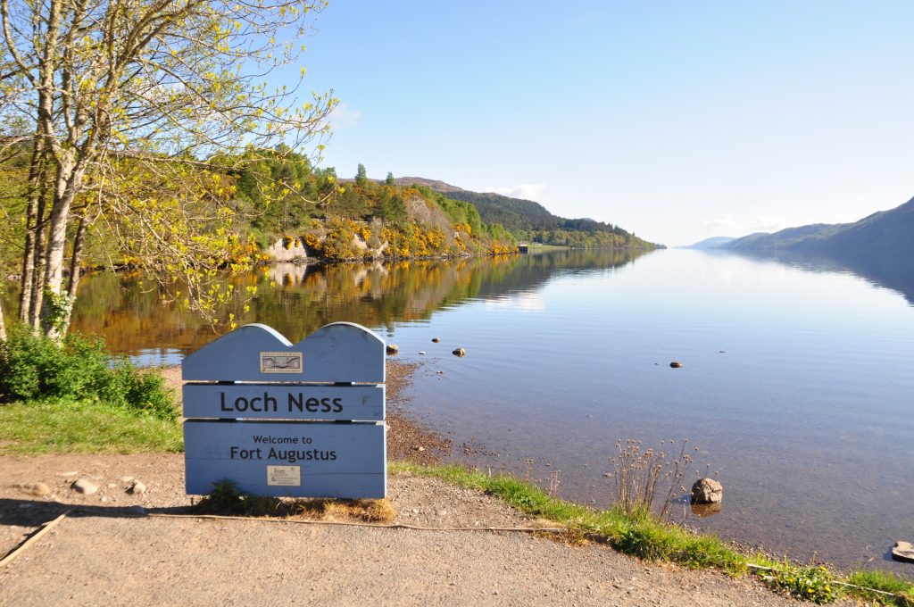 Il mostro di Loch Ness potrebbe essere un’anguilla?
