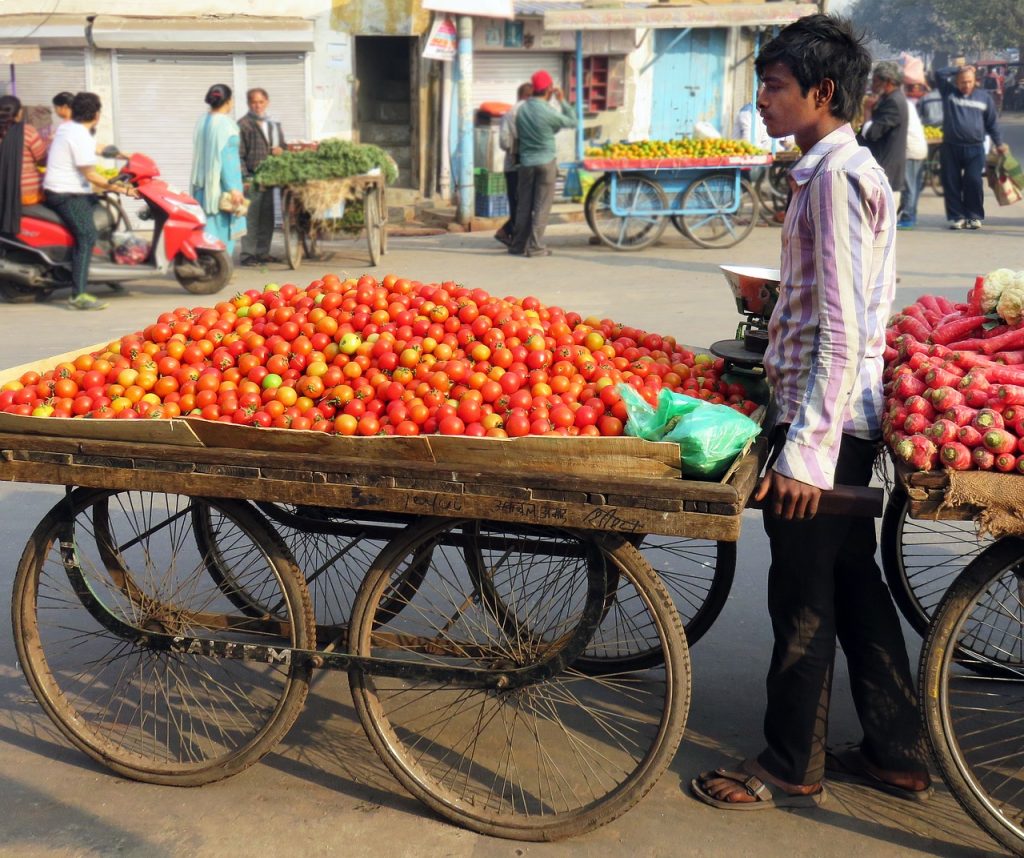 Caro pomodori in India, il frutto sta diventando un bene di lusso