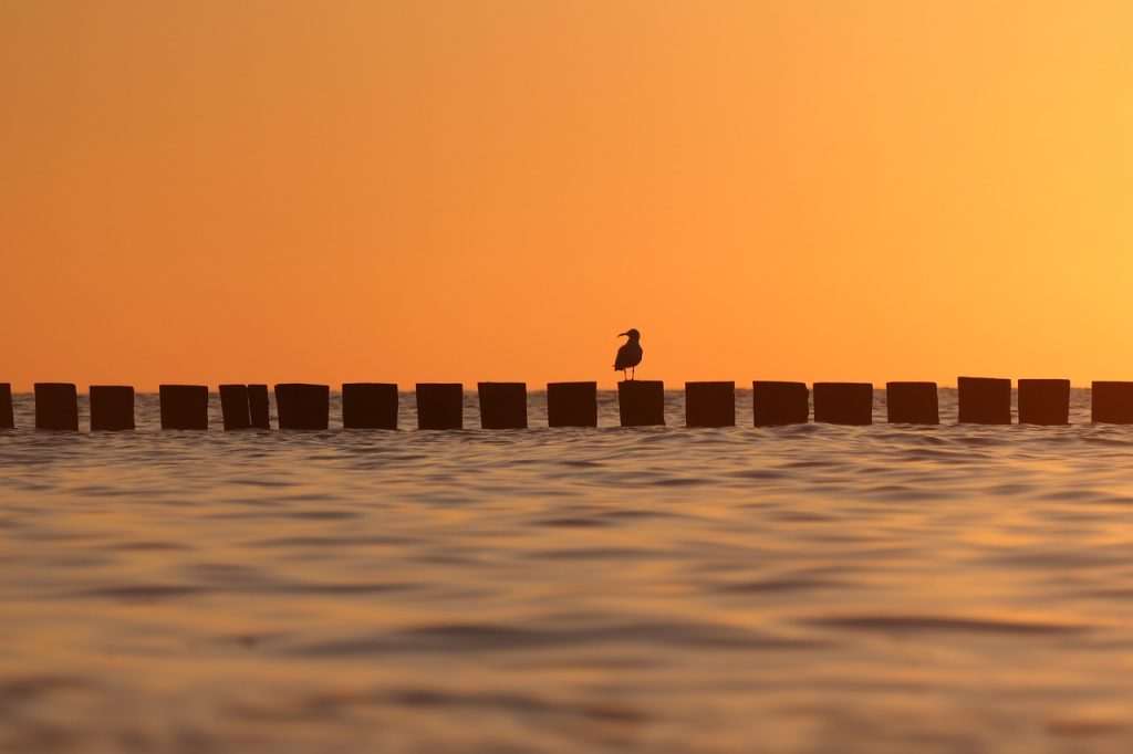 300mila tonnellate di munizioni inesplose nel Mar Baltico