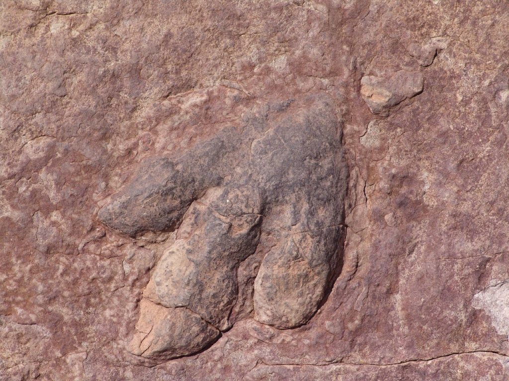 Il “Colosseo dei dinosauri” in Alaska