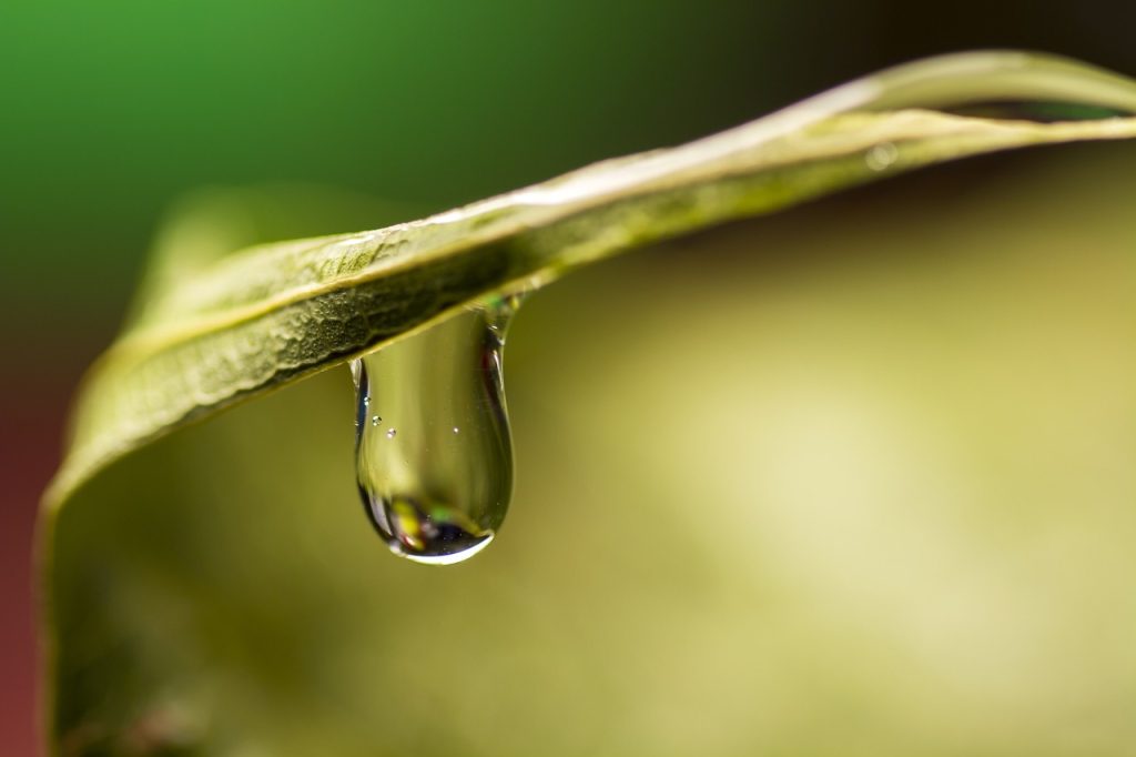 Oxfam: entro il 2050 tre miliardi di persone saranno senz’acqua