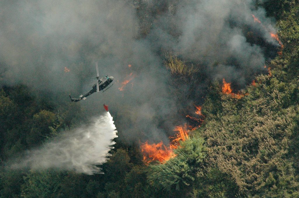 Un bimbo ha appiccato un incendio in Calabria