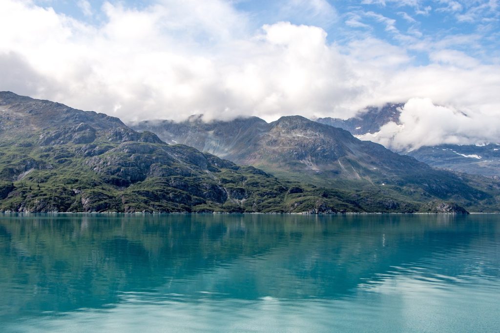 L'”essere dorato” sul fondo dell’oceano in Alaska