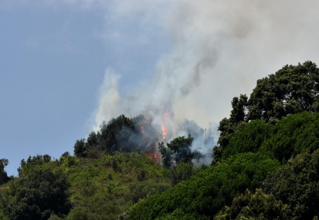 Incendio a Bagheria, le fiamme minacciano abitazioni e aziende