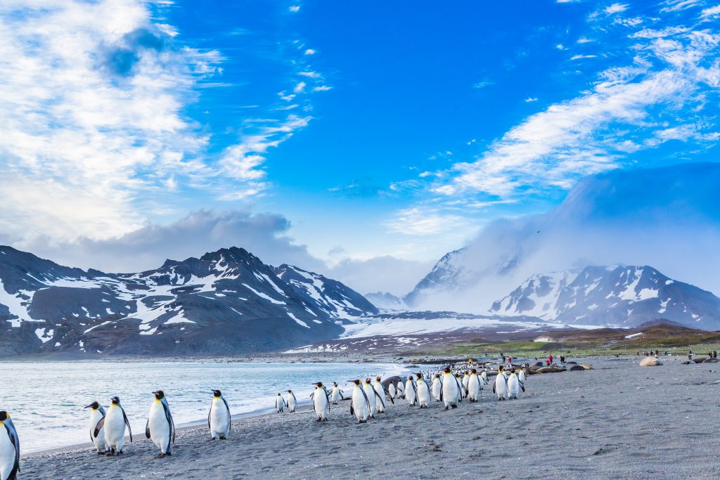 L’Argentina vuole istituire il parco nazionale delle Malvinas