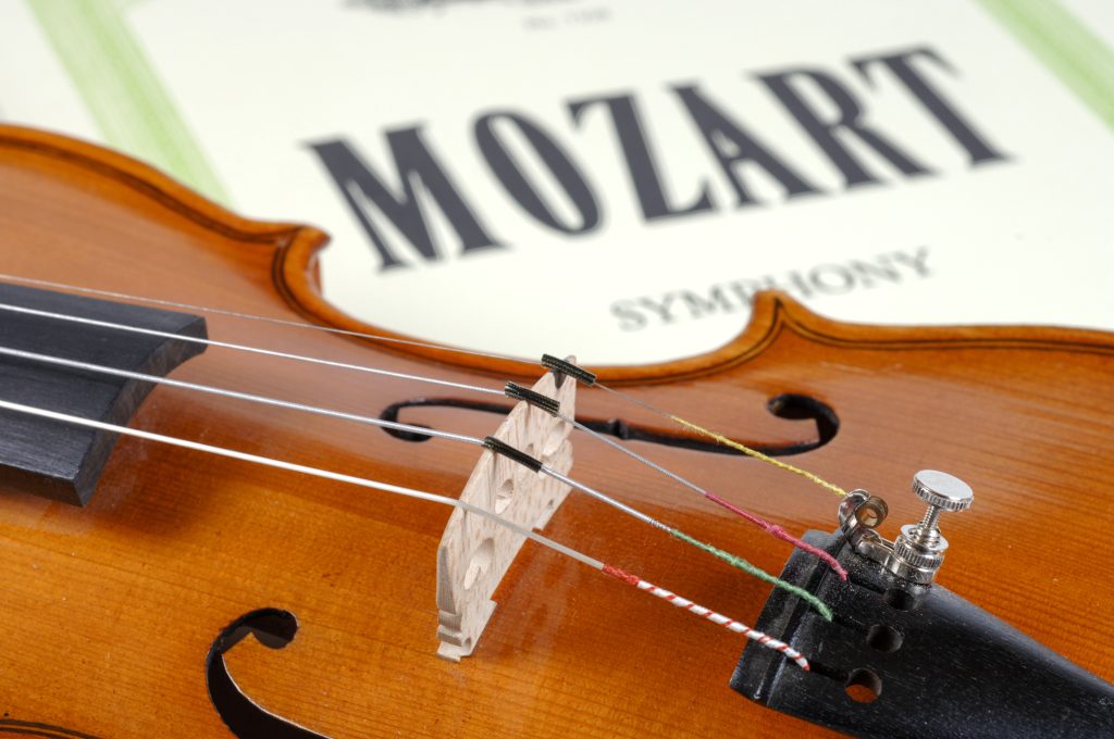 Copenaghen, tre cani nell’Orchestra che suona Mozart