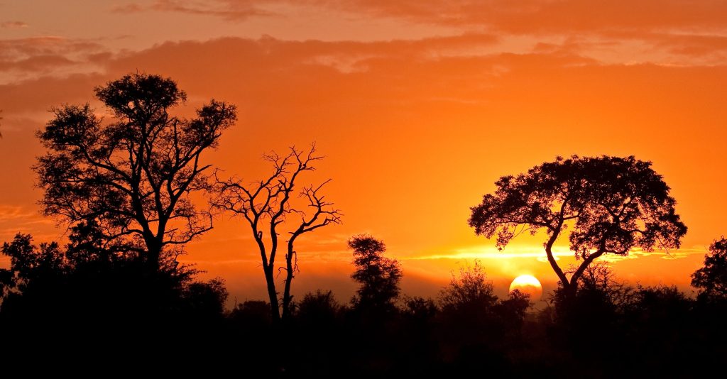 Africa vendesi