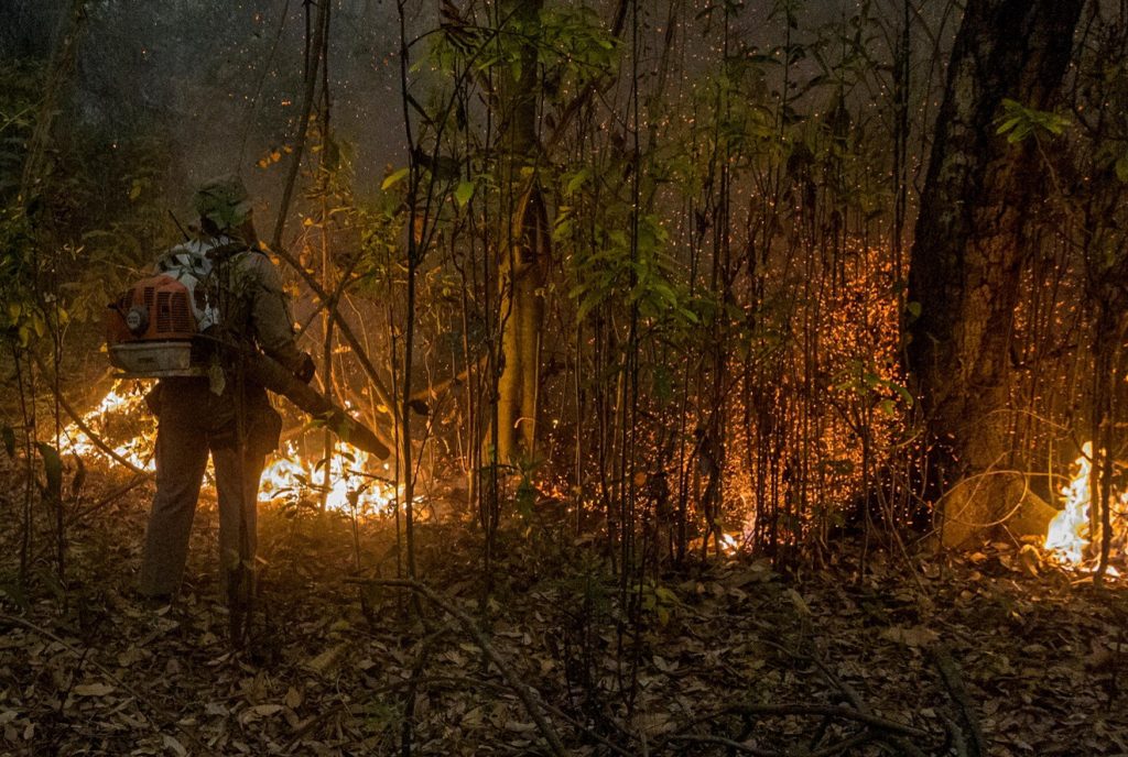 Emergenza ambientale per roghi in Brasile nel Pantanal