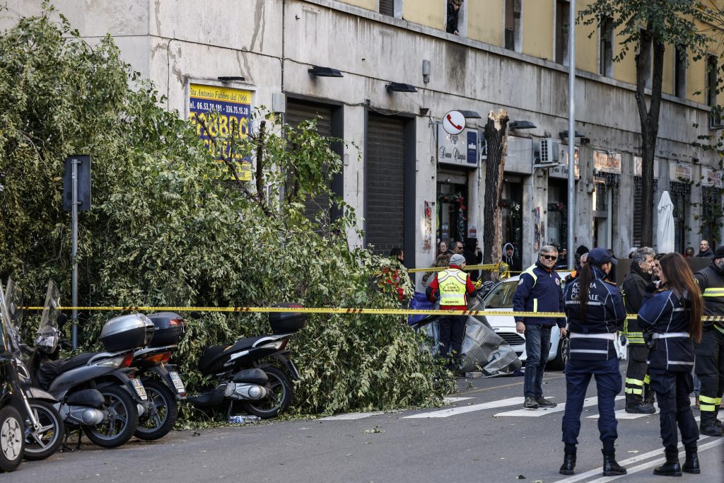 Roma: donna morta schiacciata da albero, lunedì vertice in procura