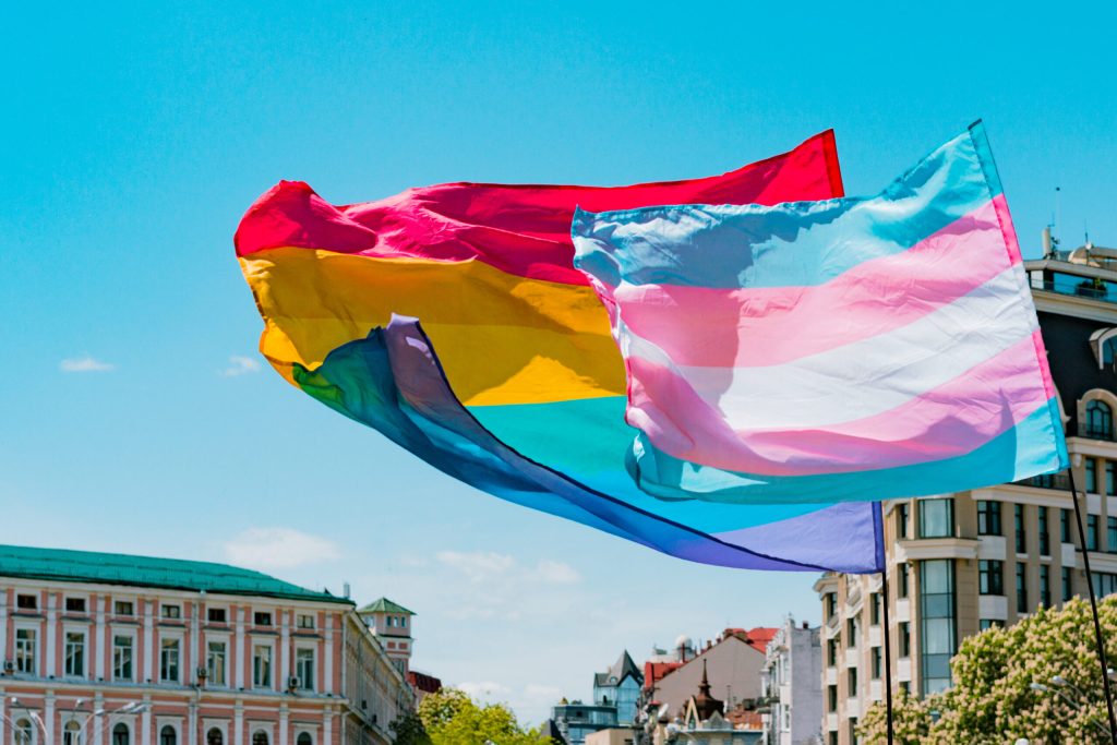Mamma è papà trans flag