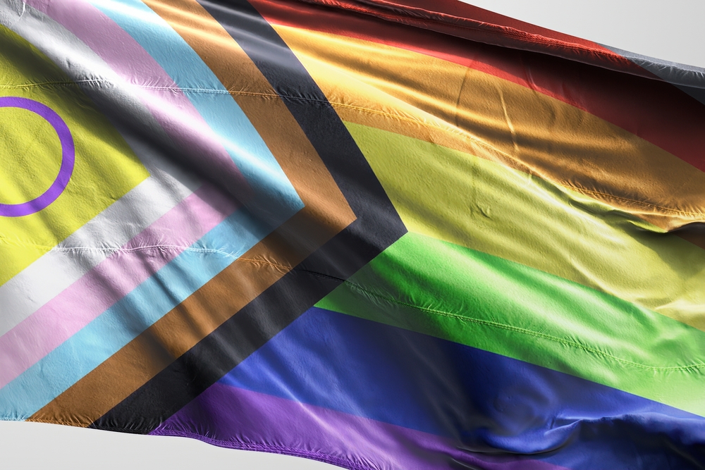 La lunga lotta per l’emancipazione BANDIERA LGBTQUIA+