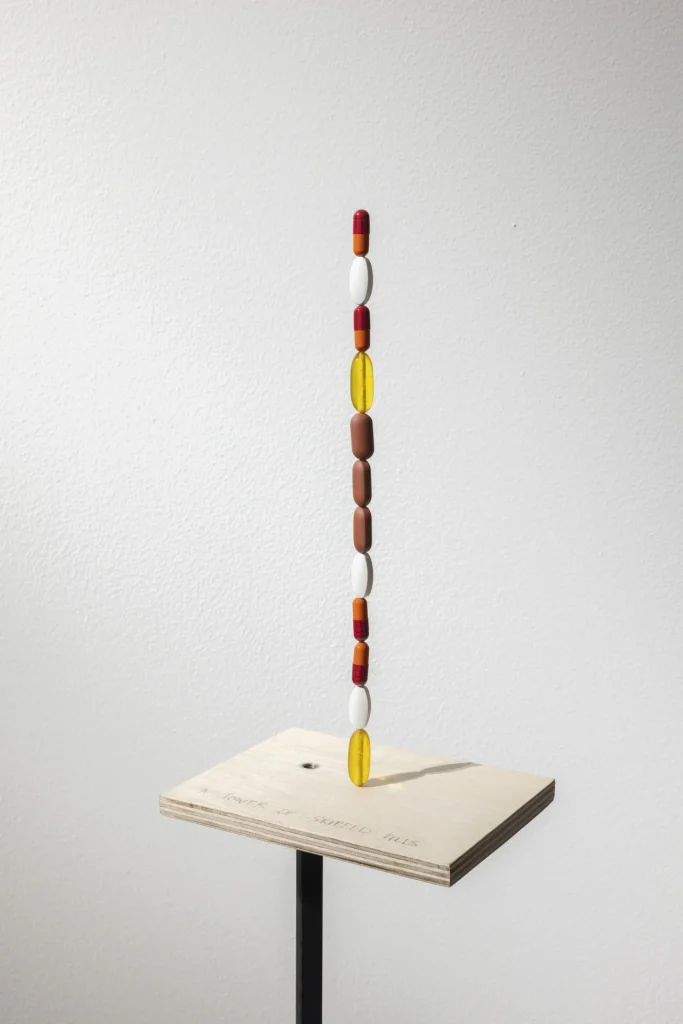 A Tower of Skipped Pills di Shilpa Gupta, 2026