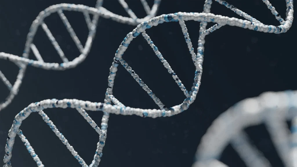 DNA e ricerca sull’età biologica e sull’invecchiamento