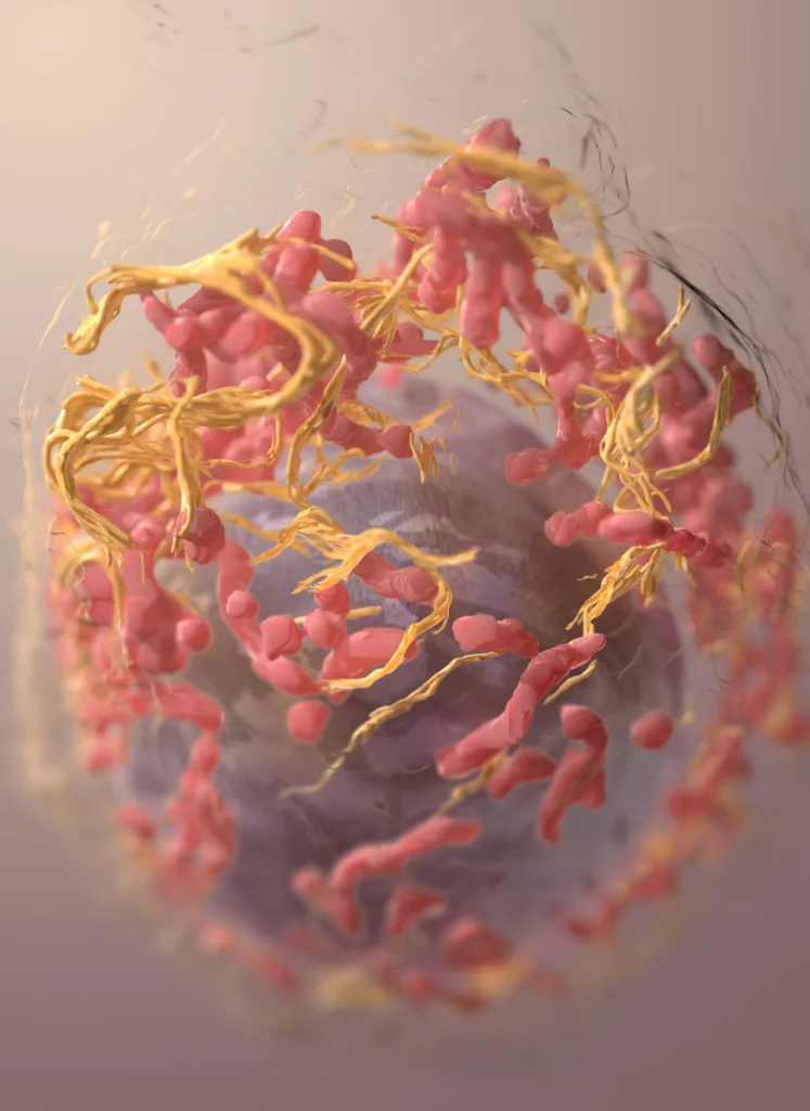 Tumore al pancreas, sei mesi in più non sono pochi Cellula tumorale vista al microscopio elettronico in una ricostruzione tridimensionale