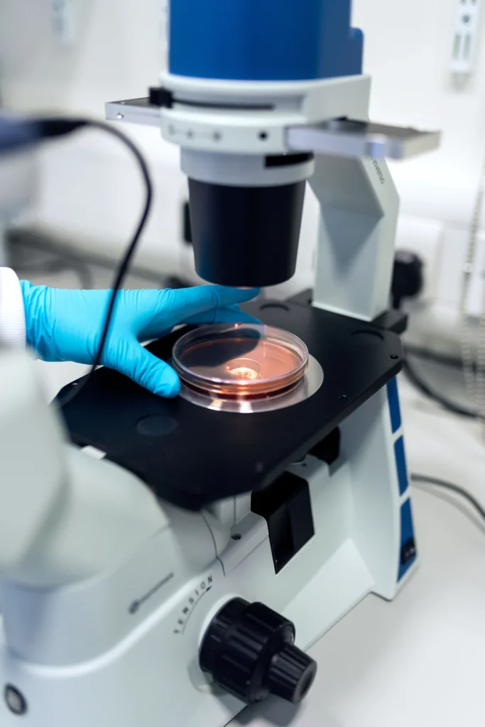 Una ricercatrice osserva una piastra di coltura al microscopio in un laboratorio