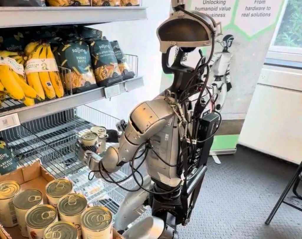 I robot lavorano al supermercato in Danimarca, gli umanoidi tra scaffali e casse